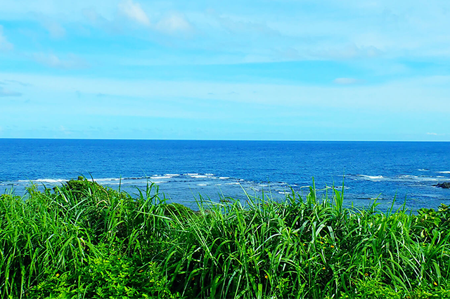 ペンションからの風景